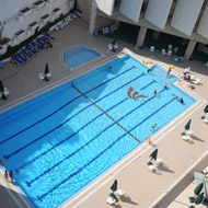 רימונים ירושלים רימונים ירושלים