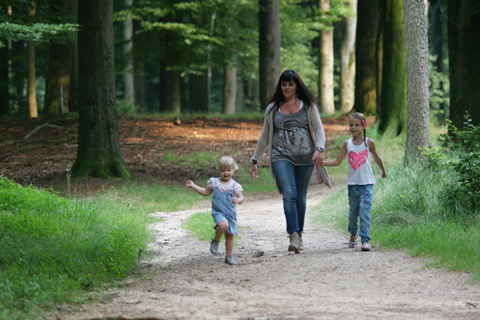 Droompark Hooge Veluwe17 Droompark Hooge Veluwe17