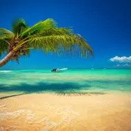 זנזיבר:דיל הכל כלול למשפחות