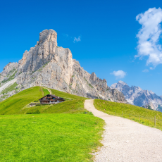 מאורגן קיץ: משפחות באירופה 