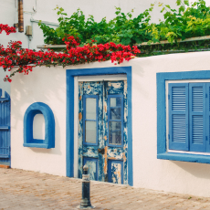 חלקידיקי: זוגי חלומי 5⭐