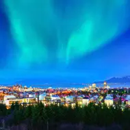 מאורגן ללפלנד: ספארי חורף