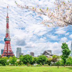 מאורגן ליפן: ארץ השמש 