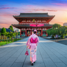 מאורגן ליפן: פריחת הדובדבן