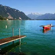 מאורגן ליפן: 13 יום 