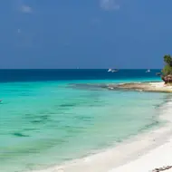 זנזיבר: דיל  5⭐ הכל כלול