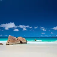 מדגסקר: דיל הכל כלול לזוגות