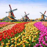 כפר נופש בהולנד