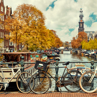 אמסטרדם: דיל סוכות