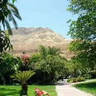 מלון עין גדי, ים המלח