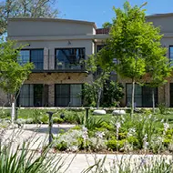 איילה ריזורט בטבע, איילת השחר