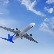 טיסה מאתונה- לטאבה