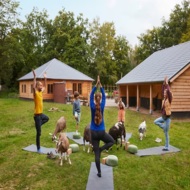 נופש בדיסלדורף